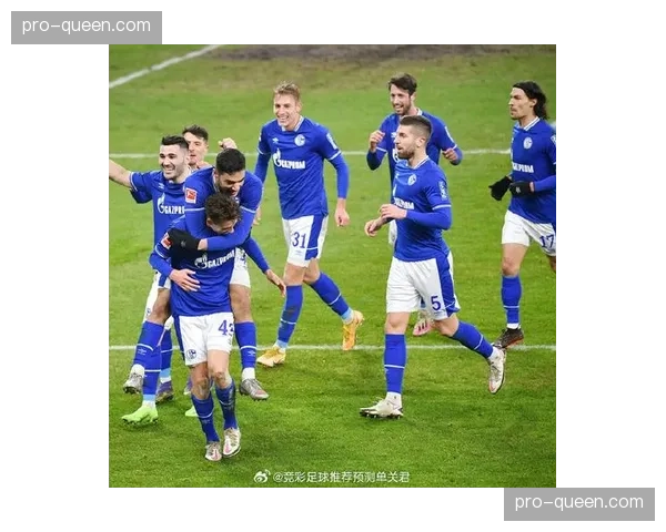 沙尔克042-1不敌波鸿，鲁尔区小德比客队笑到最后