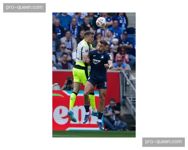 霍芬海姆对阵多特蒙德：欧冠资格争夺关键战前瞻